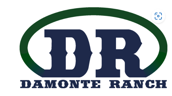 Damonte Ranch Logo Damonte Ranch Logo